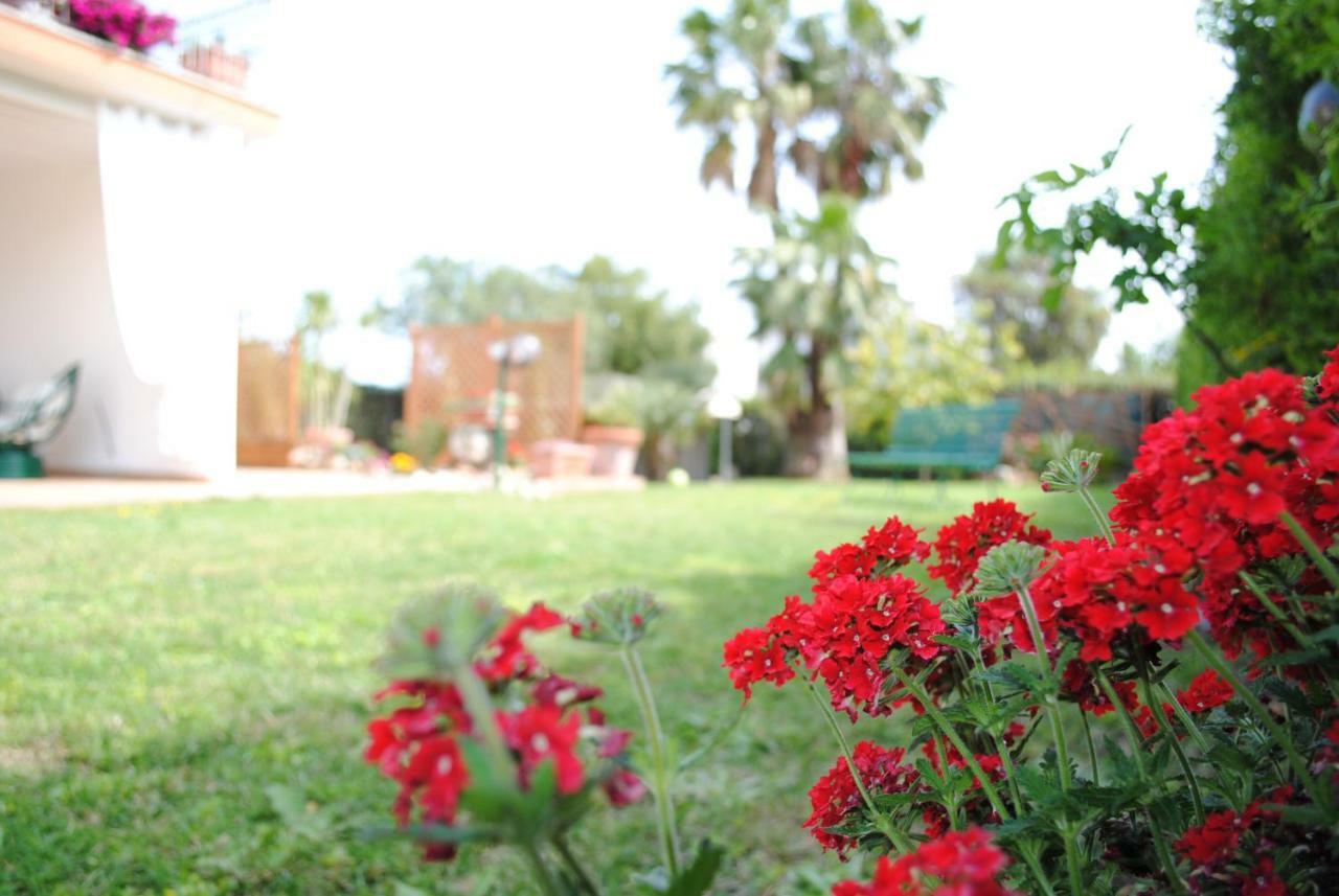 نيتّونو Villa Regina B&B المظهر الخارجي الصورة